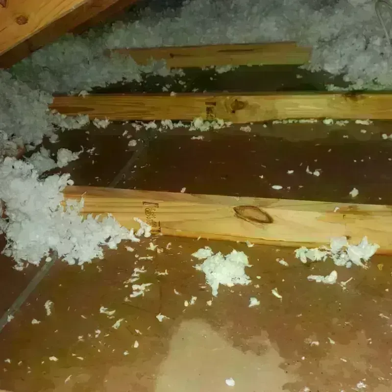 Attic Water Damage in Morgan County, OH