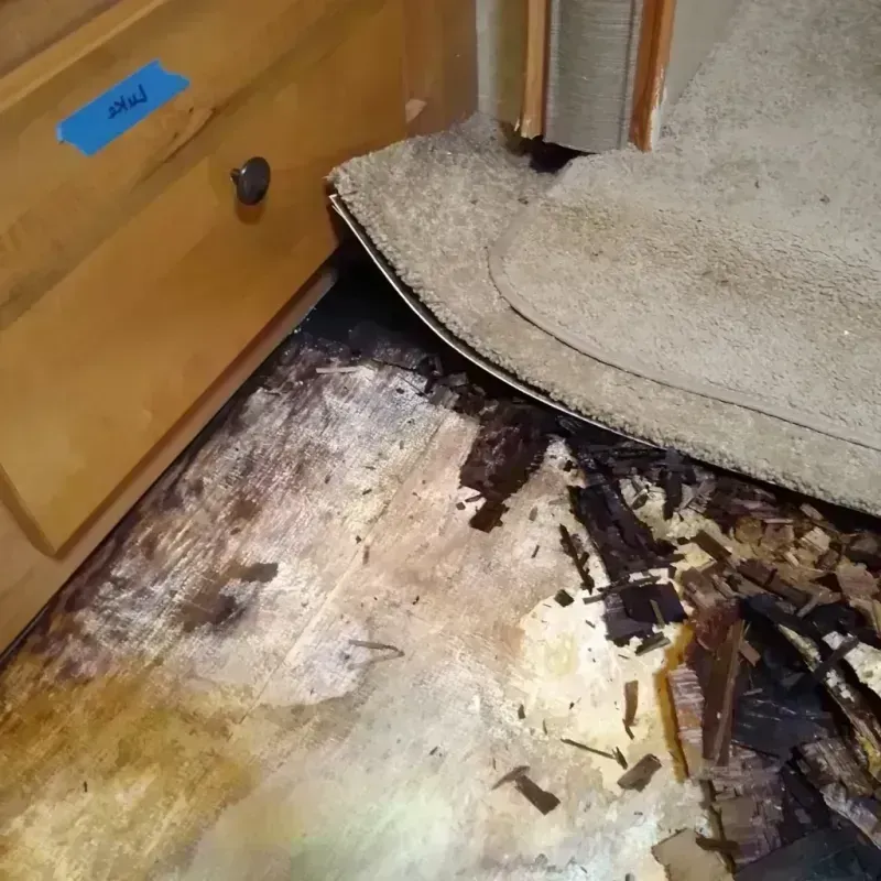 Wood Floor Water Damage in Morgan County, OH